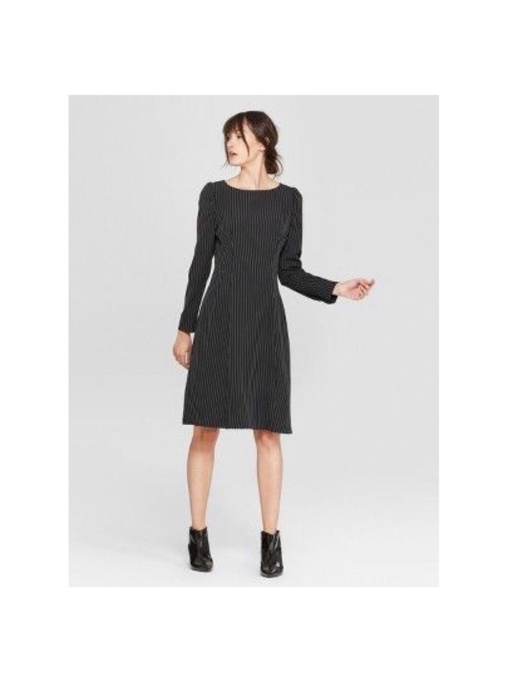NEW Prologue long sleeve pinstripe dress